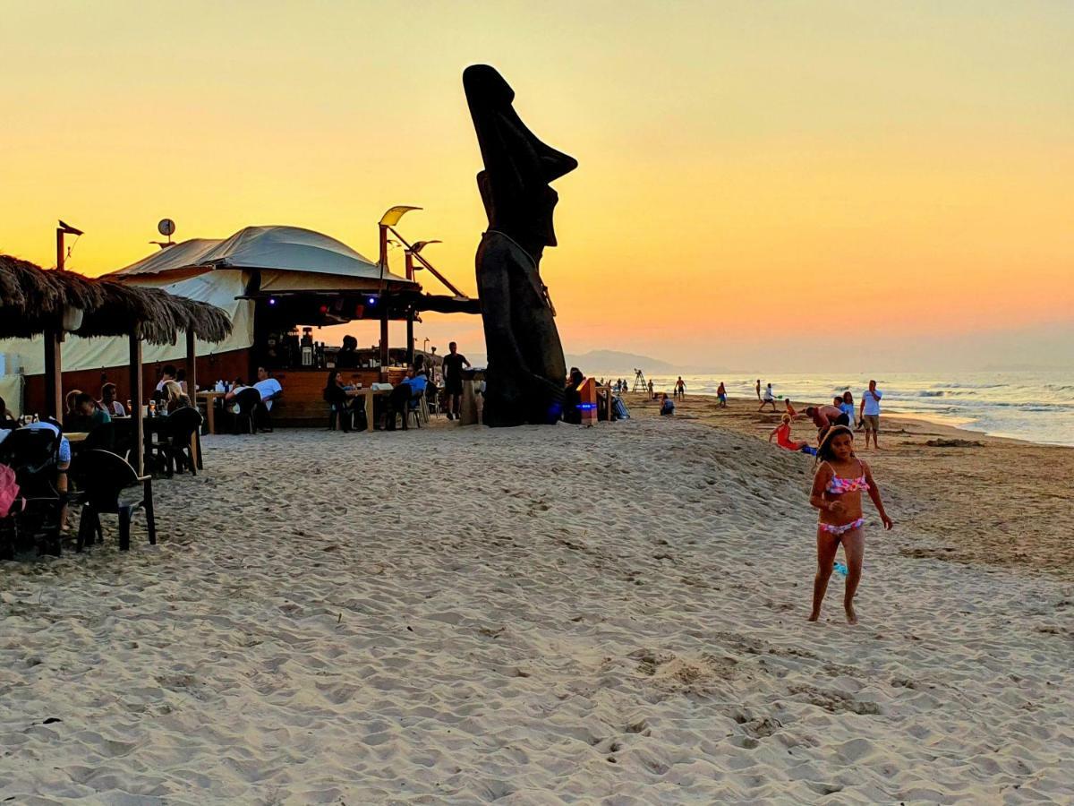 Apartamento con piscina frente al mar. Oliva Nova Exterior foto